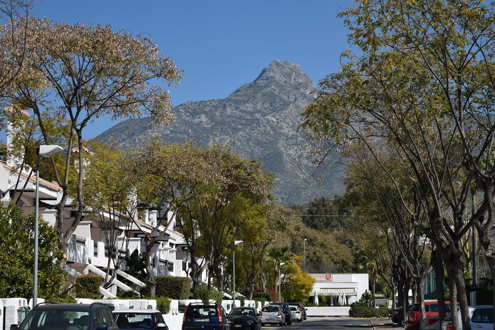Apartamentos Y Casas Serinamar Marbella El Ángel Zewnętrze zdjęcie